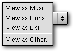 The View As Menu